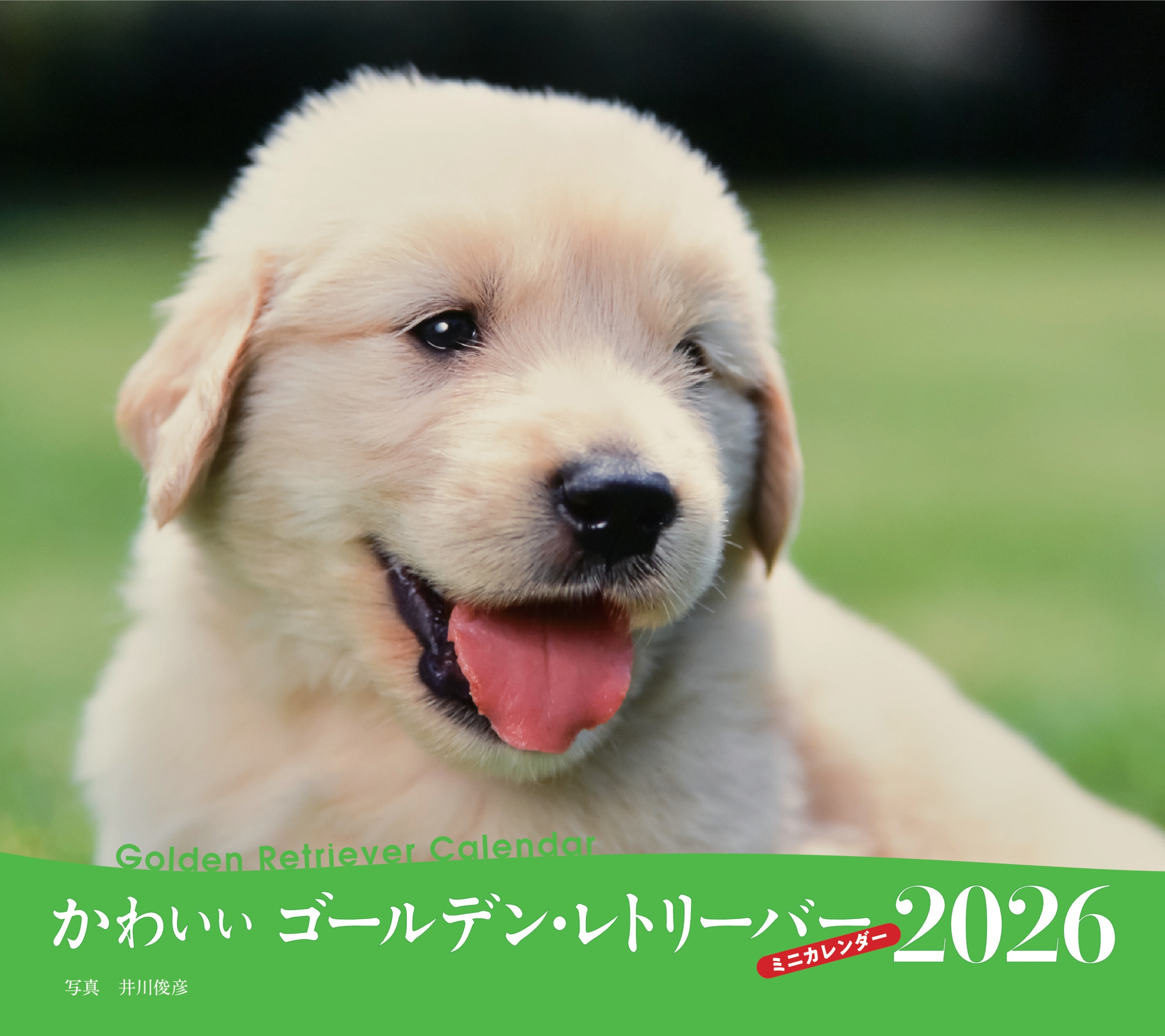 2026年カレンダー かわいいゴールデン・レトリーバー