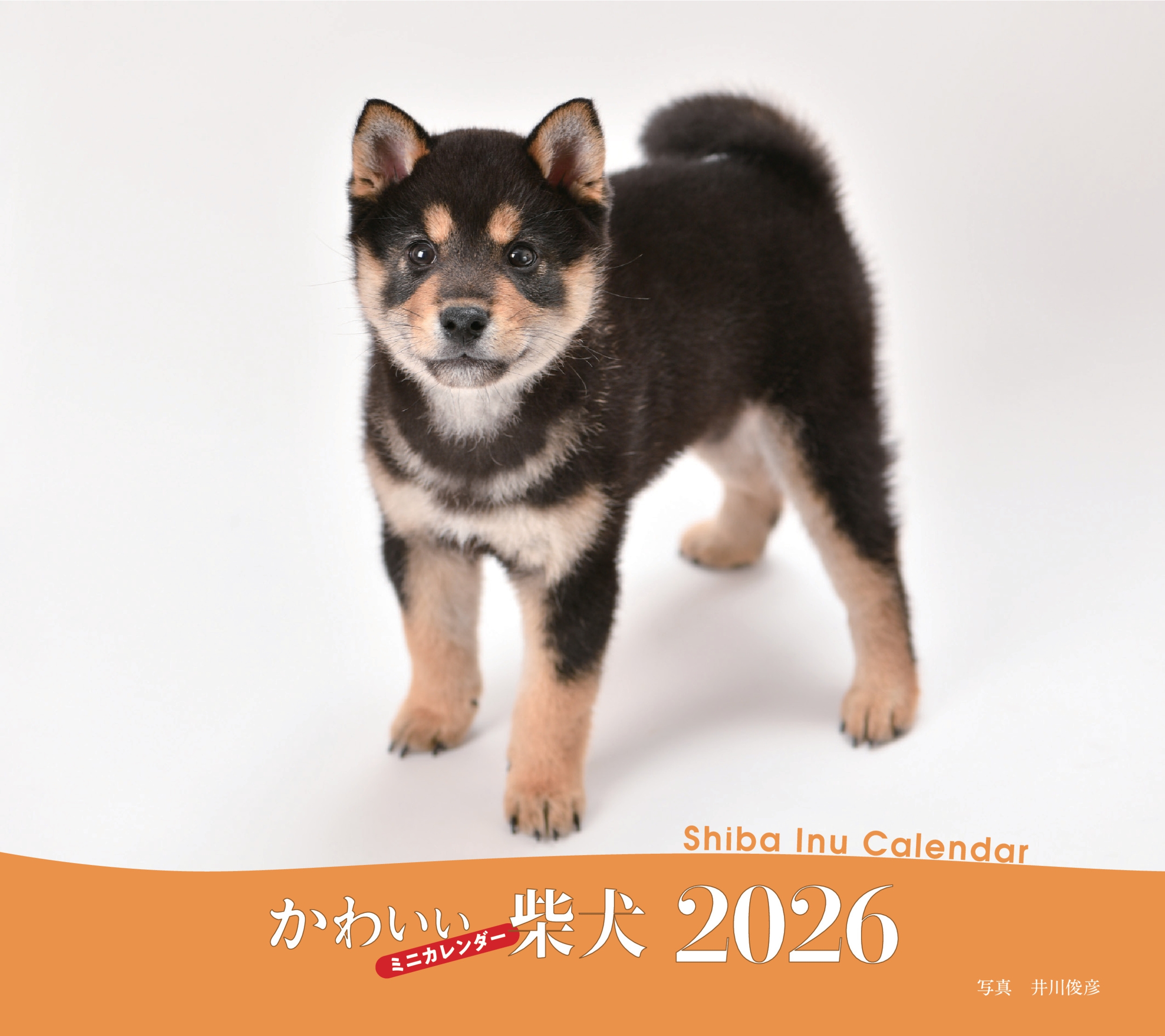 2026年カレンダー かわいい柴犬