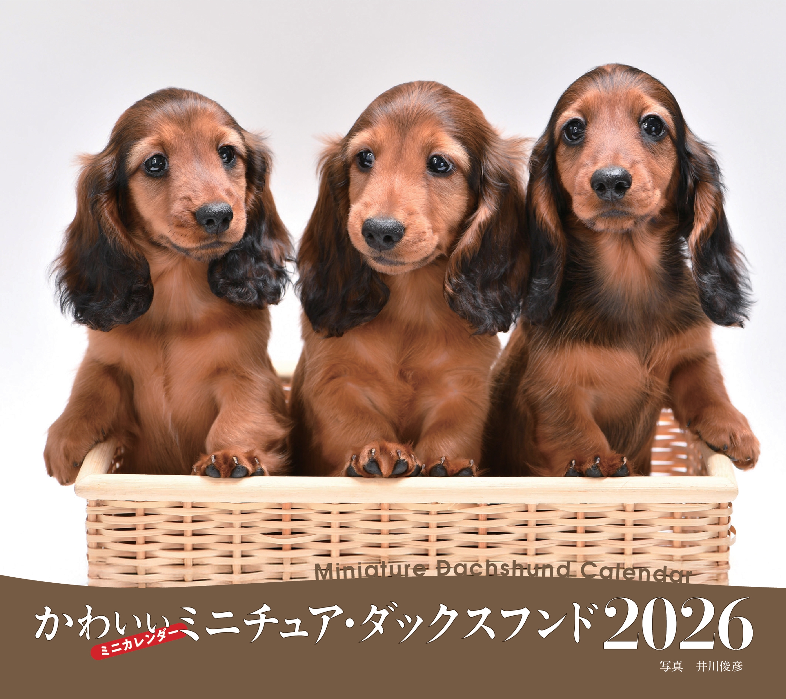 ɧ/2026ǯ 襤ߥ˥奢åե[9784416925843]