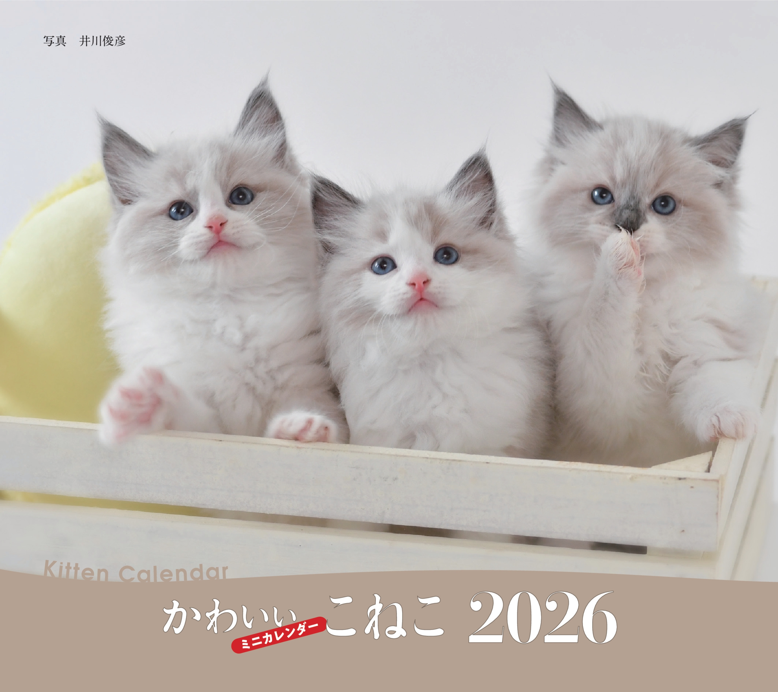 2026年カレンダー かわいいこねこ