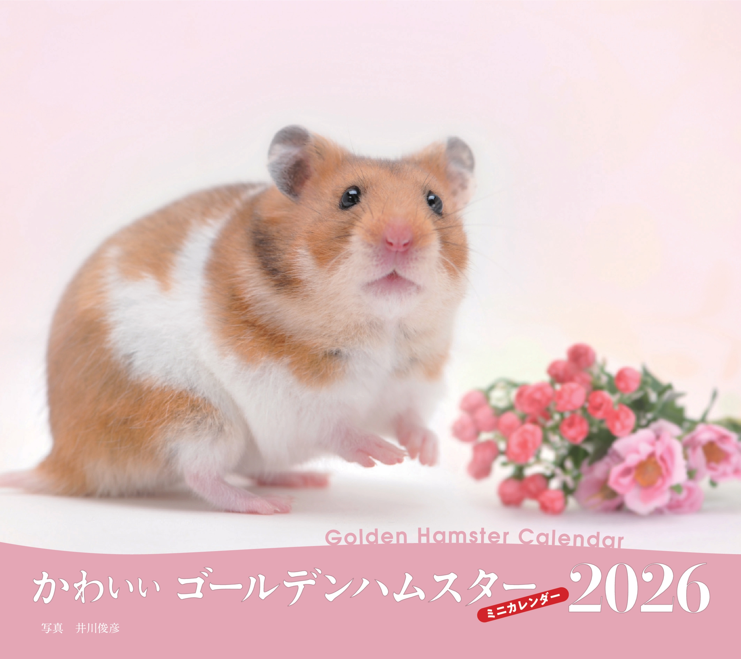2026年カレンダー かわいいゴールデンハムスター