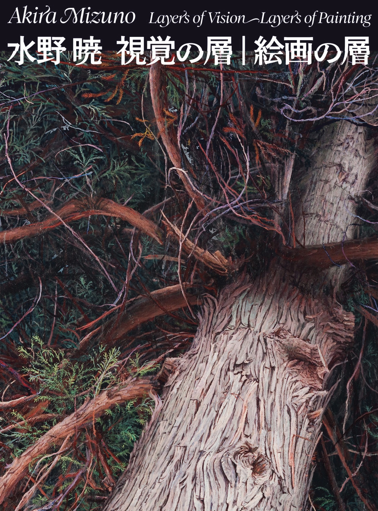 「水野 暁 視覚の層|絵画の層」 作品集