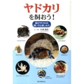 ヤドカリを飼おう! 海のヤドカリの飼い方と楽しみ方