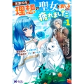 苦節四年、理想の聖女を演じるのに疲れました ～便利屋扱いする国は捨て"白魔導士"となり旅に出る～ (1)