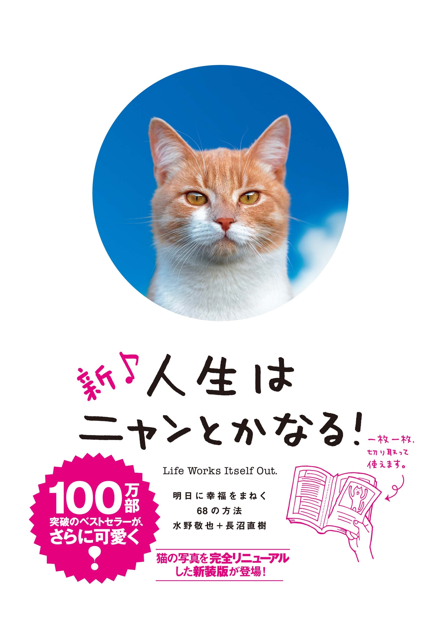 新♪ 人生はニャンとかなる! 新♪ 人生はニャンとかなる!
