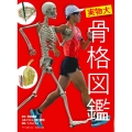 実物大 骨格図鑑
