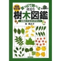 葉っぱで調べる身近な樹木図鑑 増補改訂版