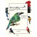 鳥はいかに進化しているか Futuyma先生の進化生物学講座