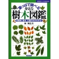 葉っぱで調べる身近な樹木図鑑 街路樹、庭木、公園の木がわかる! 主婦の友ベストBOOKS