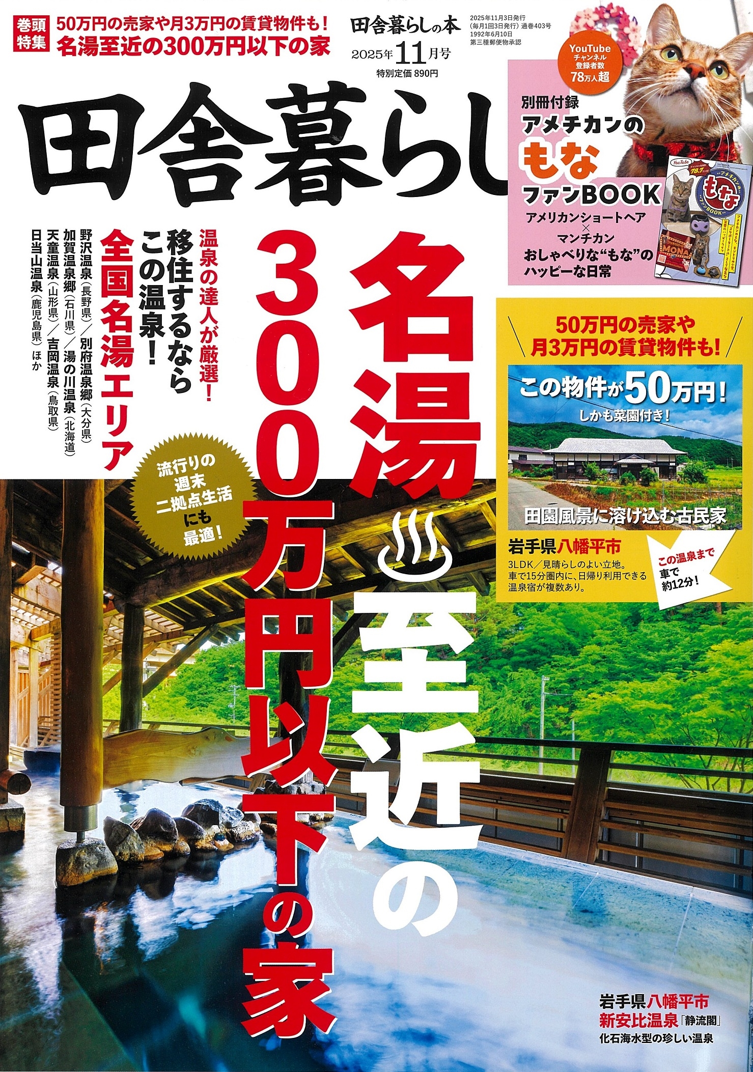 TOWER RECORDS ONLINE㤨ļ餷 2025ǯ 11 [][01617-11]פβǤʤ890ߤˤʤޤ