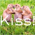 Kiss!