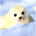 アザラシの赤ちゃん かわいいのヒミツ