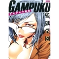 GAMPUKU眼福 平本アキラ画集