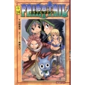 小説FAIRY TAIL 3 KCデラックス