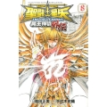 聖闘士星矢THE LOST CANVAS冥王神話外伝 8 少年チャンピオン・コミックス