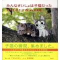 みんなさいしょは子猫だった チーズスイートホーム写真集