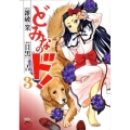 どみなのド! 3 チャンピオンREDコミックス
