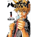 ハンザスカイ 1 少年チャンピオン・コミックス