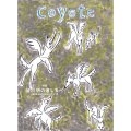 Coyote No.87 特集 皆川 明の道しるべ minä perhonen のいま