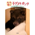 すくすく育て!子ダヌキポンタ 小さな命が教えてくれたこと 動物感動ノンフィクション