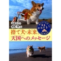 捨て犬・未来、天国へのメッセージ ノンフィクション・生きるチカラ 23