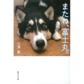 またね、富士丸。 集英社文庫 あ 72-1