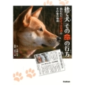 捨て犬その命の行方 救われたがけっぷち犬のその後の物語 動物感動ノンフィクション