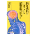 脳は悲鳴を上げている 頭痛、めまい、耳鳴り、不眠は「脳過敏症候群」が原因だった!? 講談社+α新書 602-1B