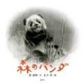 森のパンダ 講談社の翻訳絵本