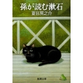 孫が読む漱石 新潮文庫 な 28-3