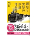 「郷愁と哀愁」の鉄道博物館 講談社+α新書 394-3D
