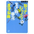 知ってびっくり「生き物・草花」漢字辞典 烏の賊が何故イカか 講談社+アルファ文庫 B 6-4