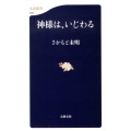 神様は、いじわる 文春新書 725