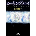 ヒーリング・ハイ オーラ体験と精神世界 幻冬舎文庫 や 5-5