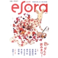 エソラ vol.11 (2011.3)