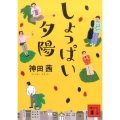 しょっぱい夕陽 講談社文庫 か 142-1