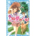 予知夢がくる!13班さん、気をつけて 講談社青い鳥文庫 248-14