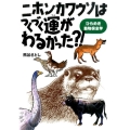 ニホンカワウソはつくづく運がわるかった?! ひらめき動物保全学