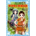 夢泥棒と黄金伝説 マジカルストーンを探せ!Part3 講談社青い鳥文庫 261-3