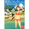 夏色ジャンクション 僕とイサムとリサの8日間 実業之日本社文庫 ふ 3-1