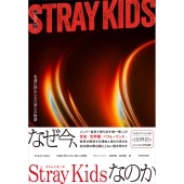 STRAYKIDS 永遠に終わらない彼らの物語