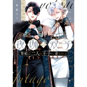 夜伽の双子-贄姫は二人の王子に愛される- (11)