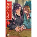 榮国物語 春華とりかえ抄 3 (3)