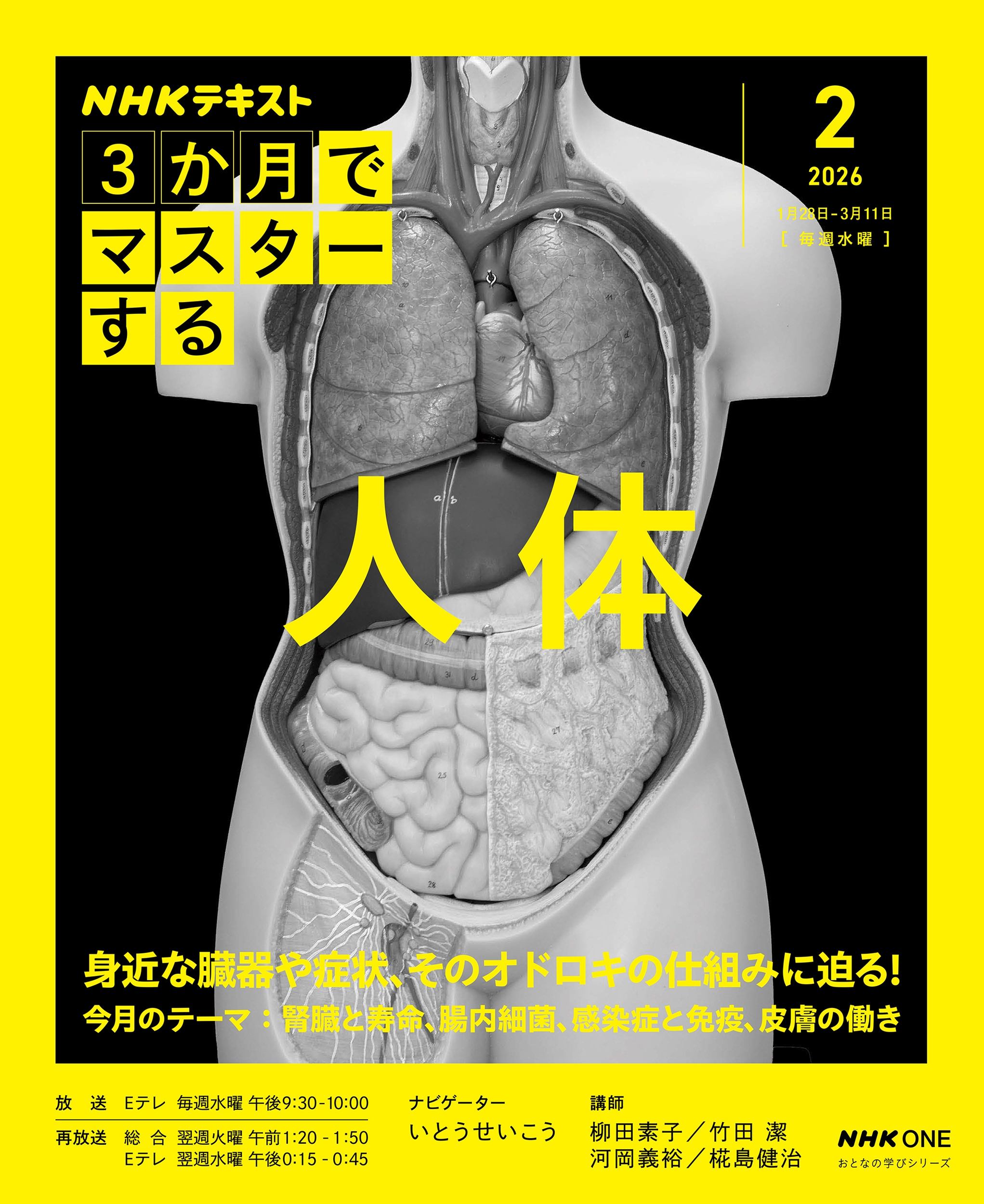 NHK3か月でマスターする 人体 2月号
