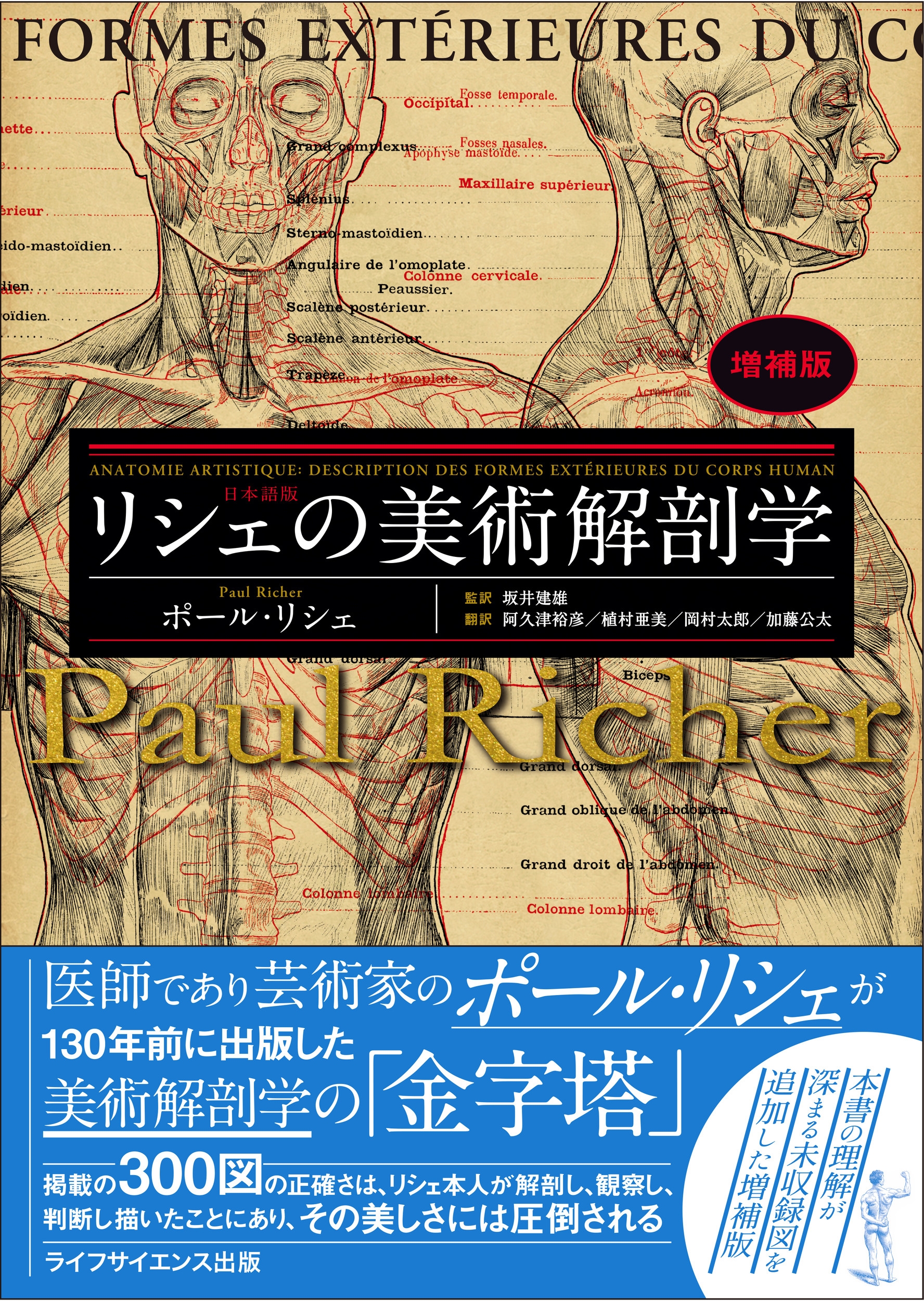 リシェの美術解剖学 増補版 リシェの美術解剖学 増補版