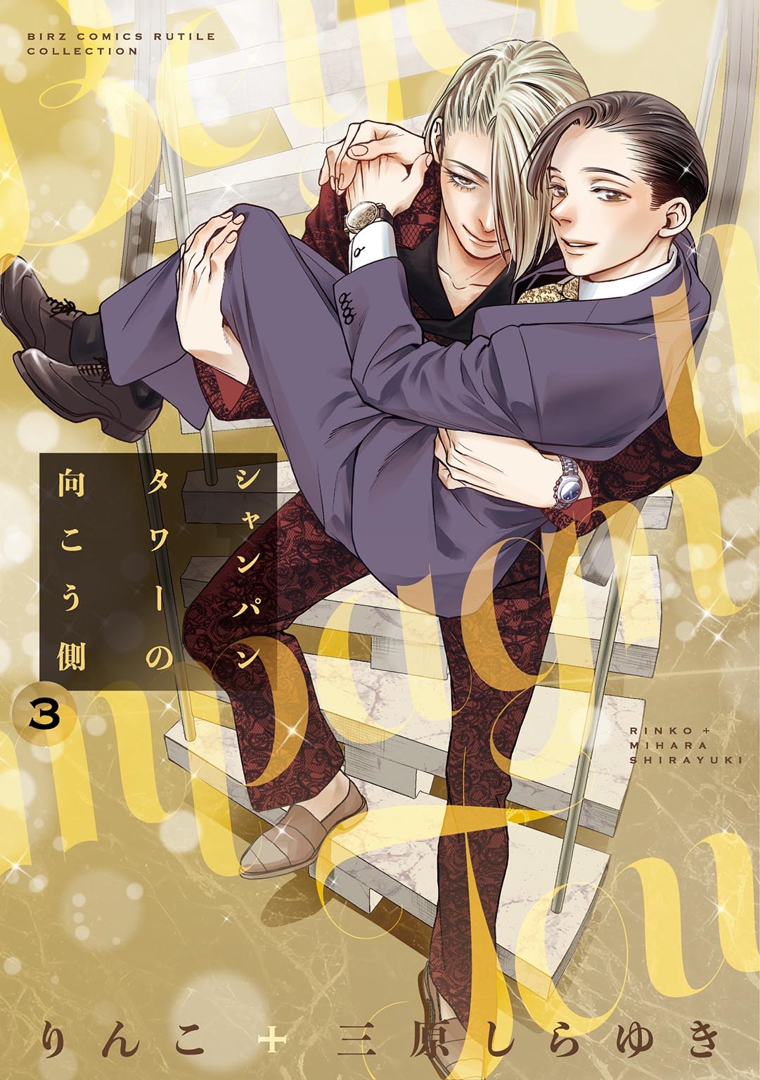 シャンパンタワーの向こう側 (3)