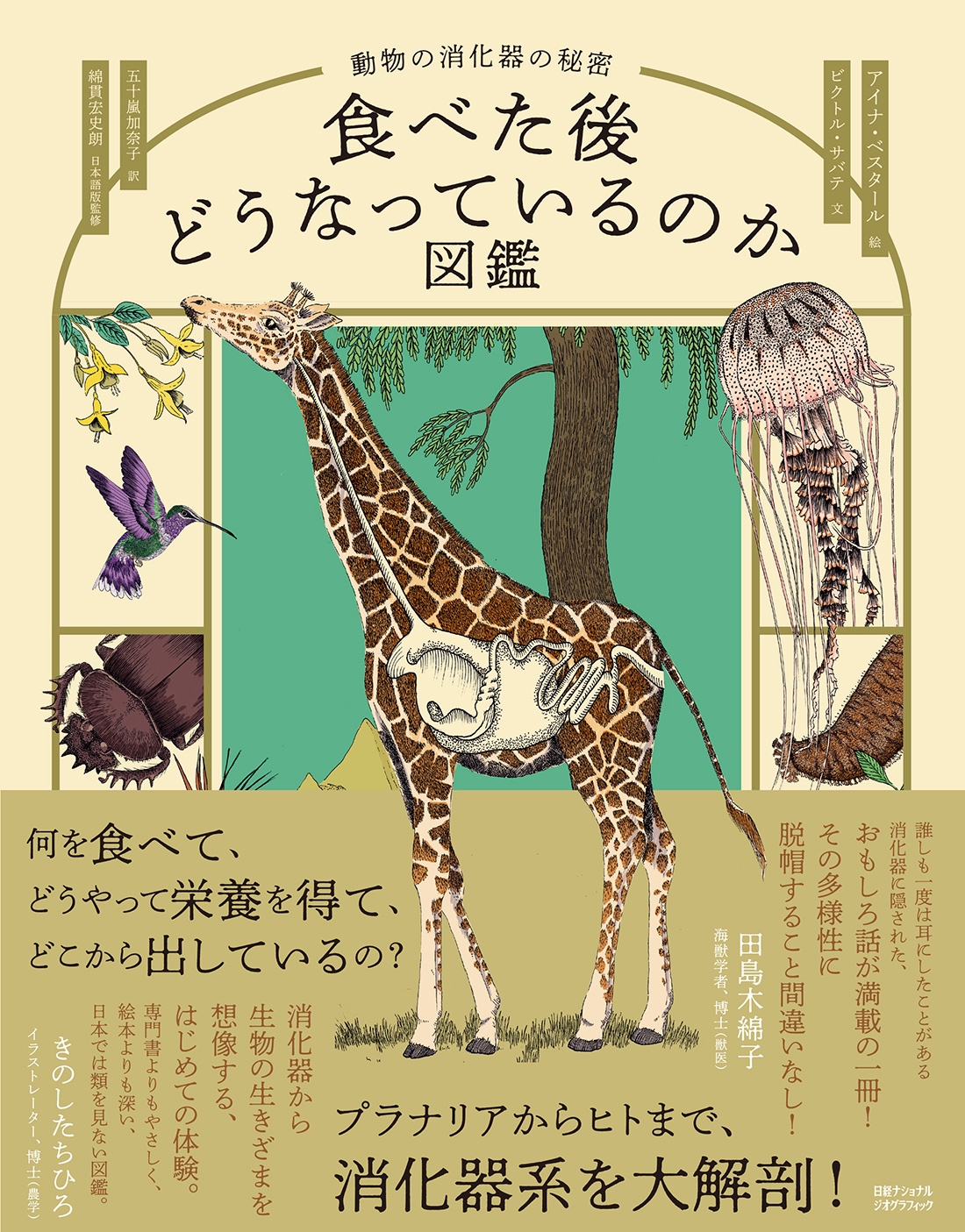 食べた後どうなっているのか図鑑 動物の消化器の秘密