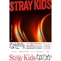 STRAYKIDS 永遠に終わらない彼らの物語