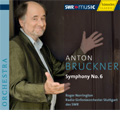 Bruckner: Symphony No.6 WAB.106 (7/11-13/2007) / Roger Norrington(cond), Stuttgart SWR Radio Symphony Orchestra