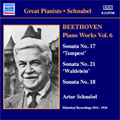 Beethoven: Complete Piano Sonatas Vol.6/ Schnabel